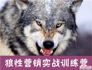 《狼性營銷實戰訓練營》