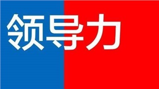 《領導者如何在組織中成就卓越》